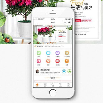 关岭门店微商城小程序开发