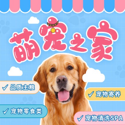 关岭萌宠之家小程序开发