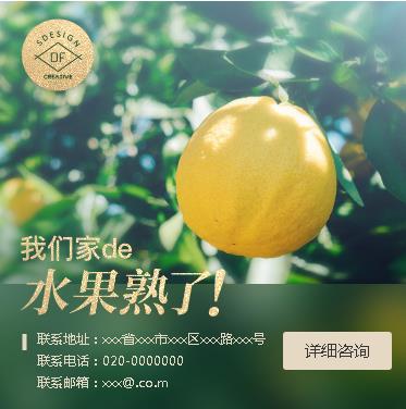 关岭果园果林小程序开发